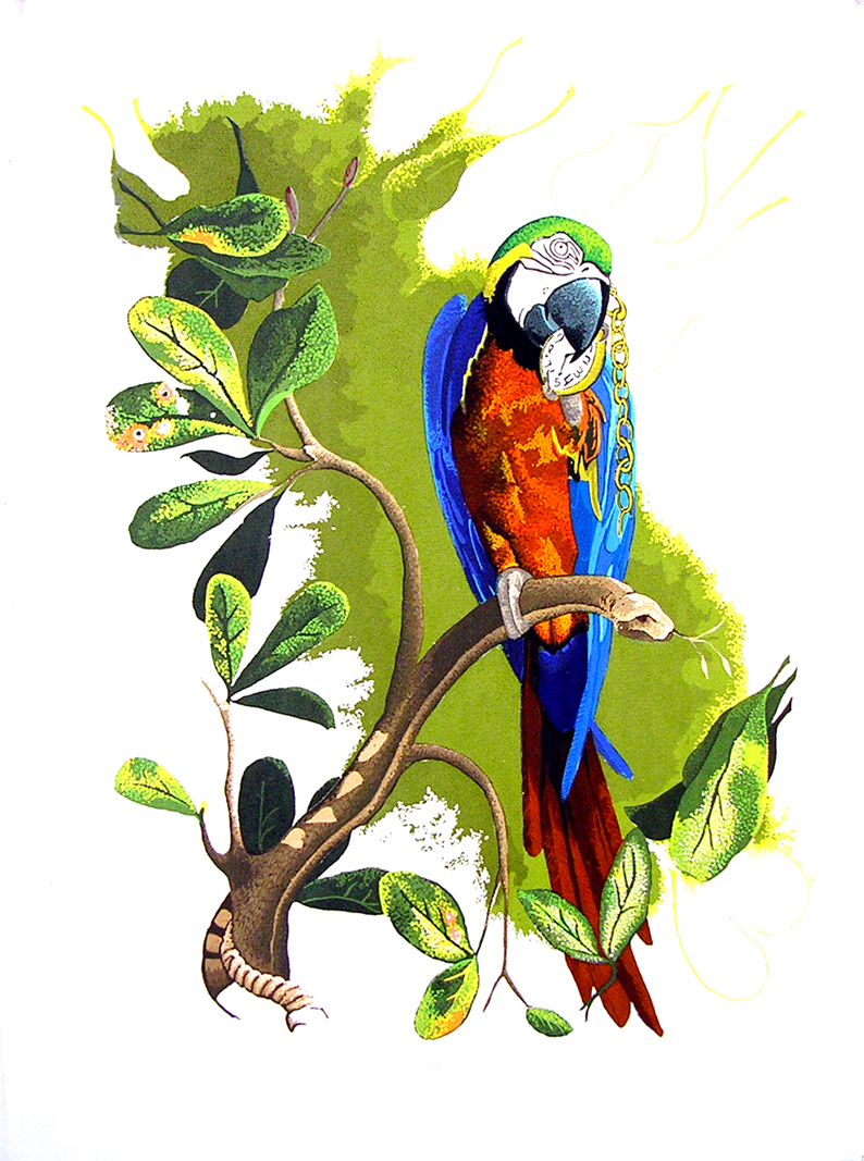 Adorned with a Mantle of Innocence